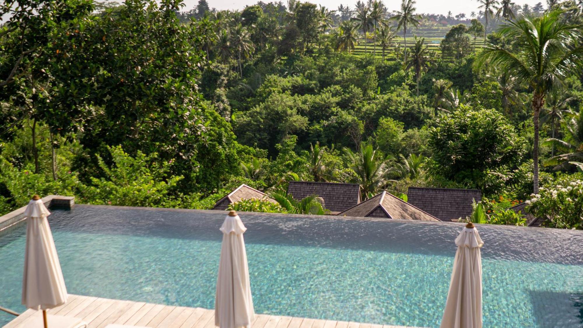 Tejaprana Bisma - Chse Certified Hotel Ubud  Ngoại thất bức ảnh View from the pool