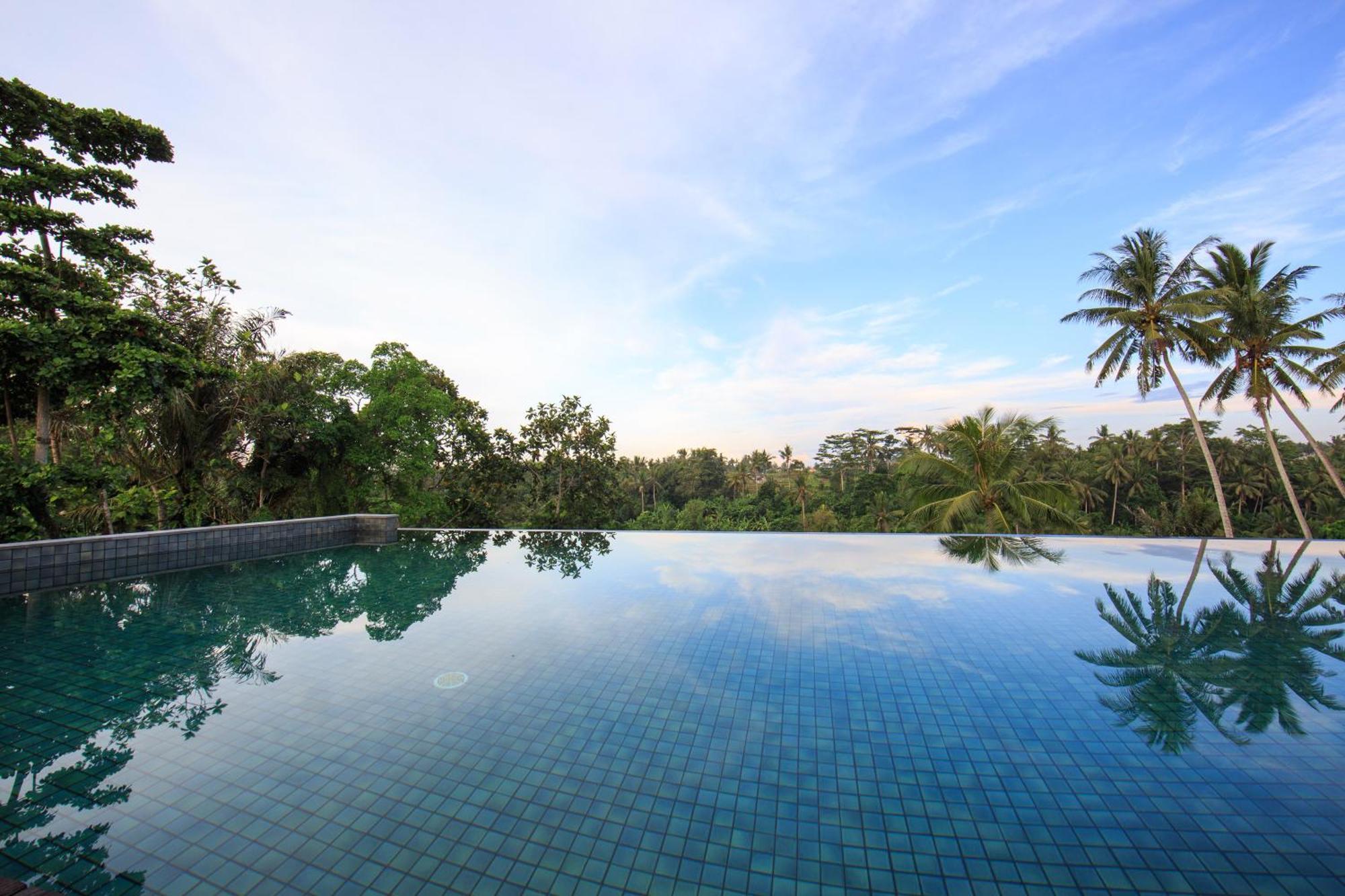 Tejaprana Bisma - Chse Certified Hotel Ubud  Ngoại thất bức ảnh Infinity pool at the Alila Manggis